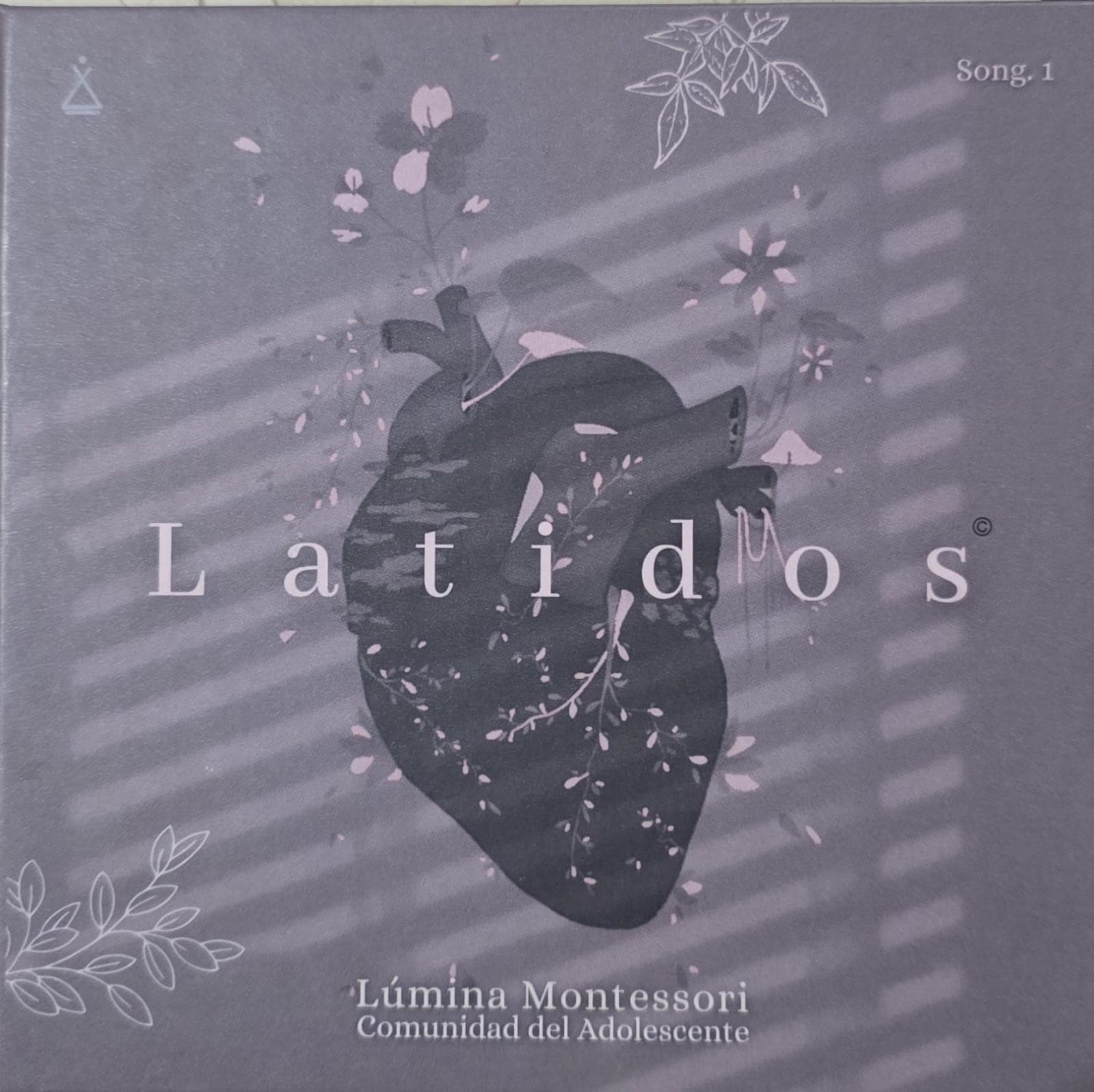 Disco Musical 'Latidos'